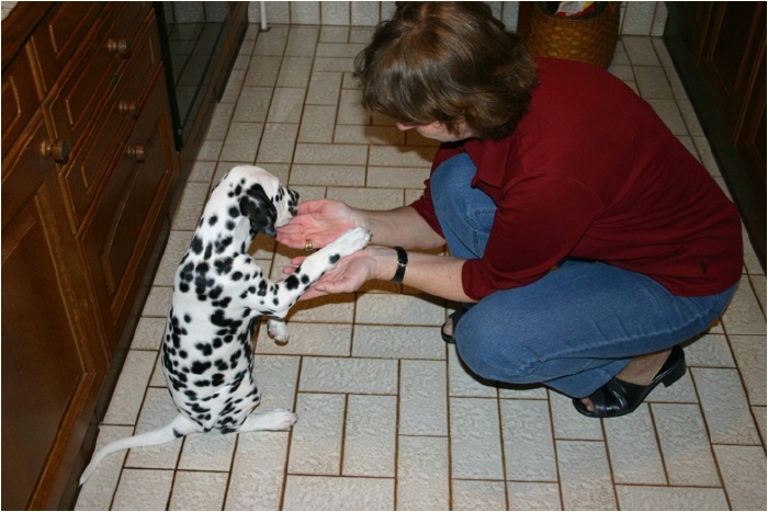 Mamis H�nde sind so gro� - aber leider leer